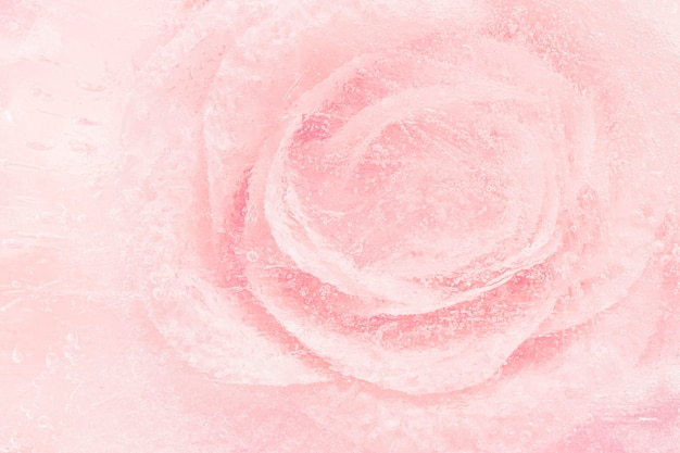 Fond de fleur rose en fleurs rose