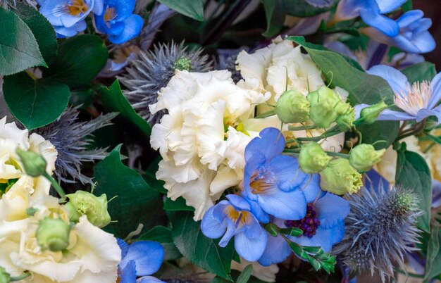 Fond de fleurs de jardin d'automne bleu et blanc sur le marché de rue aux Pays-Bas.