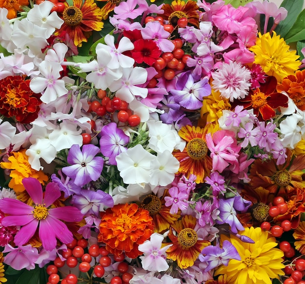 Fond de fleurs de jardin, vue de dessus.