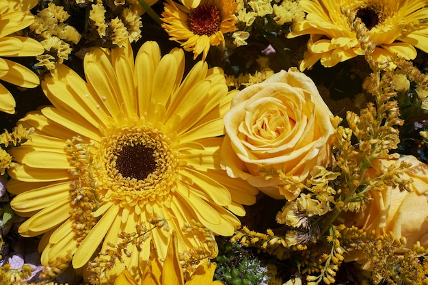 Fond de fleurs jaunes. Rose jaune et gerbera.