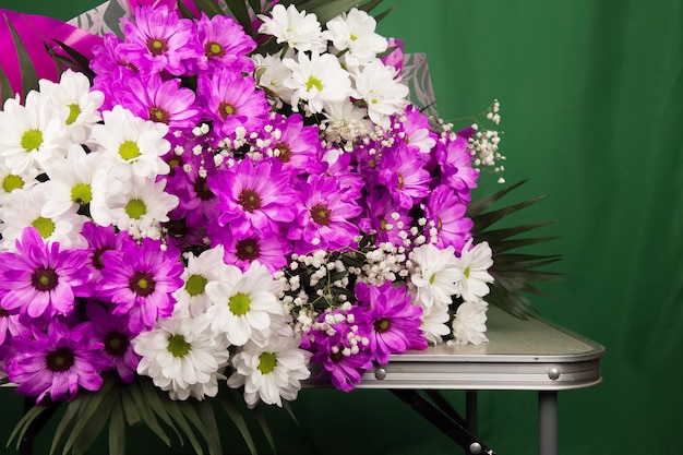 Fond de fleurs de marguerite rose signe du printemps