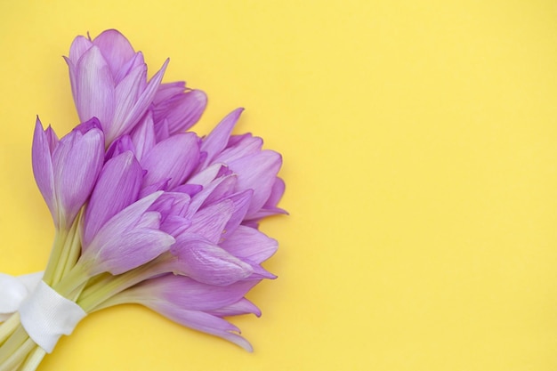 Fond floral minimaliste. Bouquet de fleurs violettes sur fond jaune