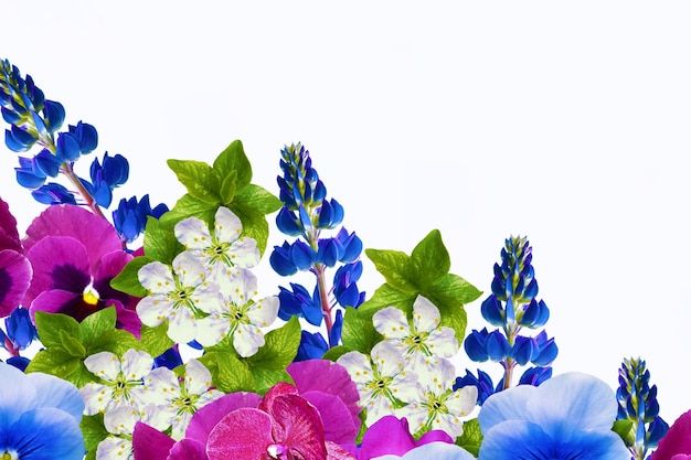 Fond floral naturel de fleurs vibrantes isolé sur fond blanc bourgeon de fleurs sauvages d'été fleur sauvage violette