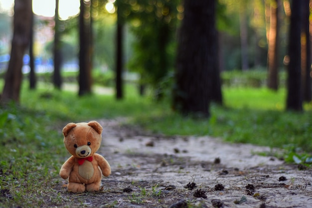 Fond de forêt d'été avec ours en peluche Concept de l'enfance