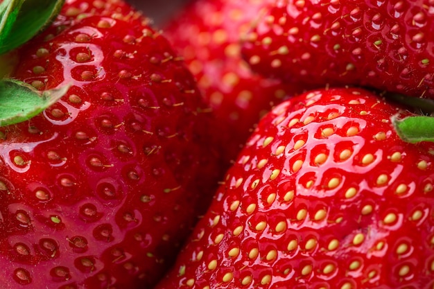 Fond de fraises fraîches mûres en gros plan