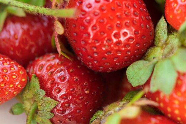 Fond de fraises rouges mûres