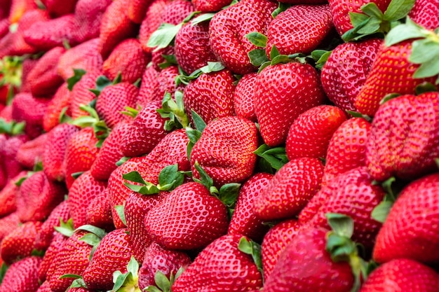 fond de fraises rouges