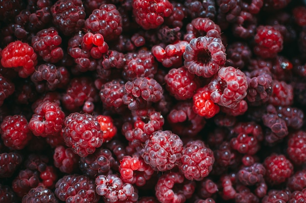 fond de framboise juteuse