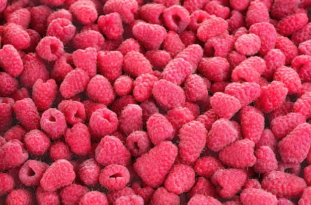 Fond de framboise