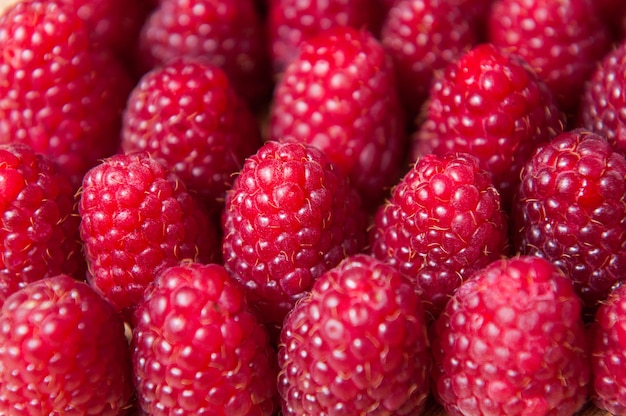 Fond de framboises fraîches