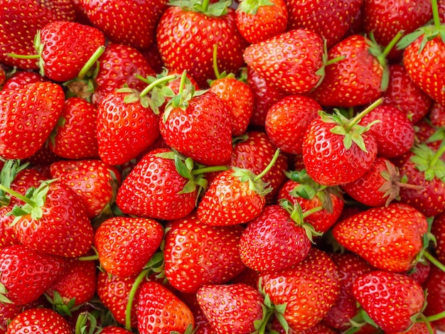 fond de fruits aux fraises mûres