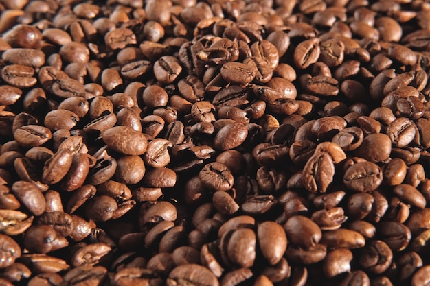 Fond de grains de café Texture des grains de café en gros plan Le café torréfié brun foncé tourne Concept d'abondance pour la publicité de produits de café Mise au point sélective Conception de bordure avec espace de copie