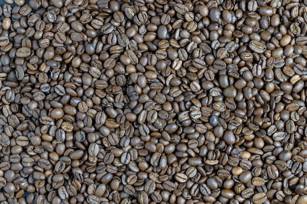 Photo fond de grains de café torréfié