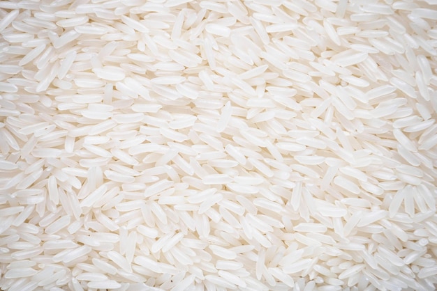Fond de grains de riz au jasmin Khao hom mali