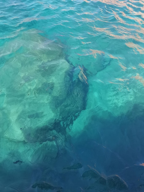 Fond de gros plan de l'eau de mer