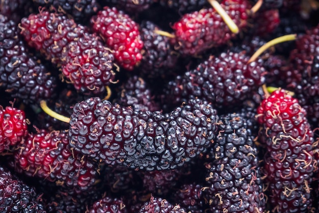 Fond de gros plan de mûrier frais