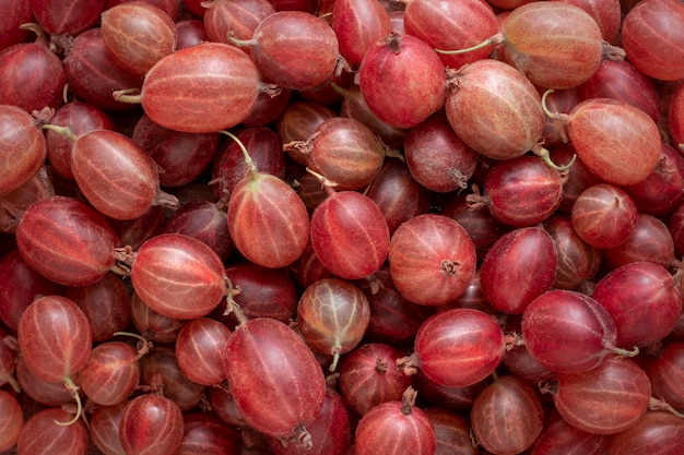 Fond de groseilles rouges se bouchent.