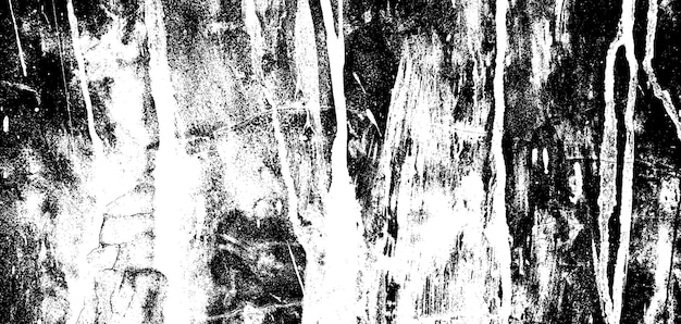 Fond grunge de texture de ciment noir et blanc