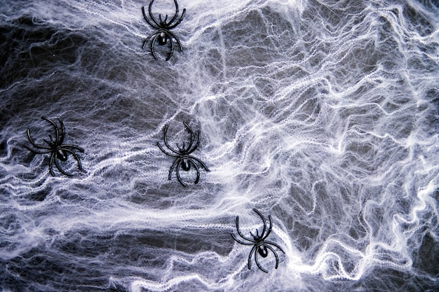Fond d'Halloween avec des araignées sur le web. Toile d'araignée blanche avec des araignées décoratives noires. Concept d'Halloween heureux. Texture des fils et des tissages.