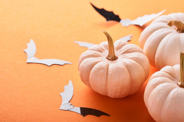 Fond d'Halloween Troupeau de chauves-souris noires araignée citrouille et feuilles pour Halloween Silhouettes de chauve-souris en papier noir sur fond orange Décoration d'automne Concept d'Halloween Vue de dessus