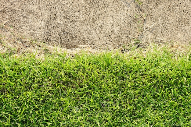 fond d'herbe verte et de ciment