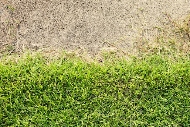 fond d'herbe verte et de ciment