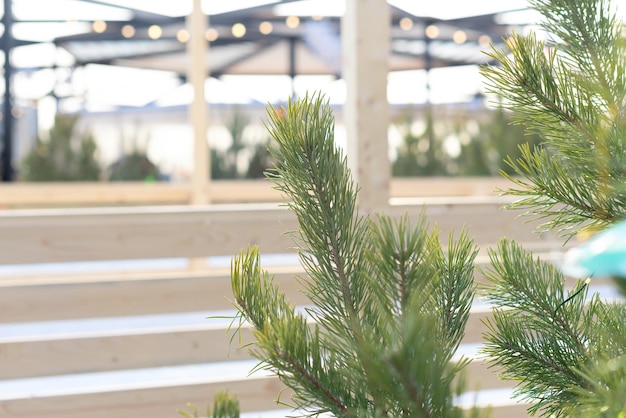 Fond d'hiver avec des branches de sapin se bouchent avec une mise au point sélective contre la vue floue de la ville pendant les vacances de Noël Concept de vacances confortables d'hiver ou du nouvel an