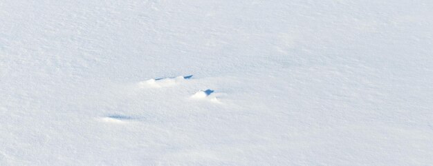 Fond d'hiver avec une surface de neige blanche par temps ensoleillé