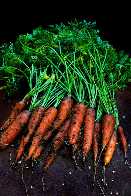 Fond de jardin de carottes de légumes frais