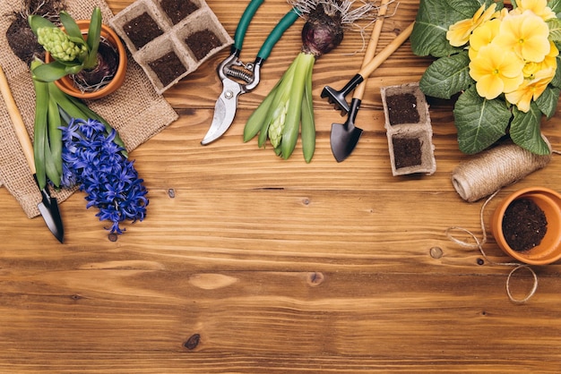 Fond de jardinage Fleurs de jacinthe et de primevère avec des outils de jardin sur le fond en bois