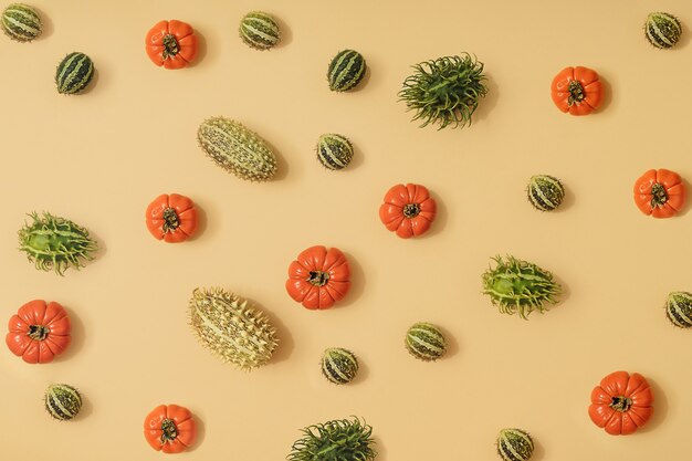 Fond jaune ensoleillé d'automne avec des citrouilles, des physalis, des tomates et des fruits verts de saison. Récolte à plat ou concept d'halloween. Disposition créative de légumes colorés. Espace de copie.