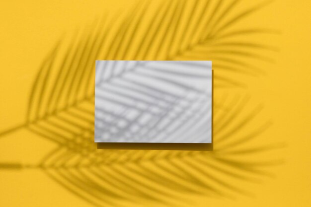 Fond jaune d'été tropical Ombre de feuille de palmier sur une étiquette blanche vierge