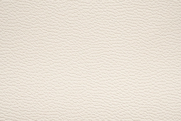 Fond de luxe texture cuir blanc