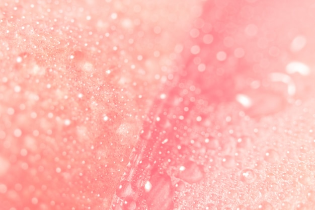 Fond de macro, gouttes d&#39;eau sur les pétales de fleurs roses