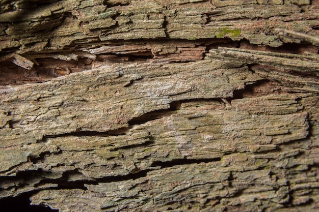 Fond de macro de planche de bois