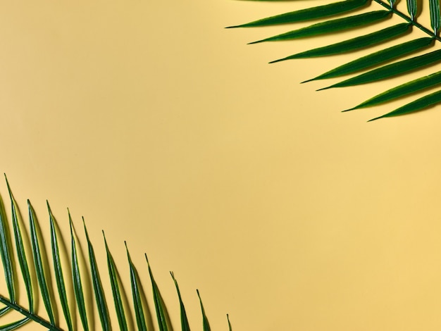 Fond de maquette jaune avec des plantes