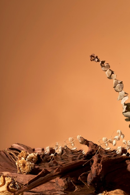 Un fond marron avec une fleur saupoudrée dessus