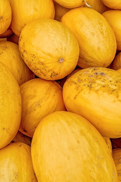 Fond de melons jaunes motif de fruits d'été