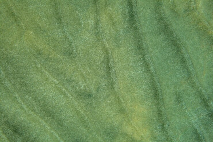 Photo fond de la mer - "dunes" de sable dans l'eau peu profonde de l'océan, vue sous-marine d'en haut. fond marin abstrait.