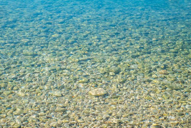 Fond de mer eau propre écologie propre