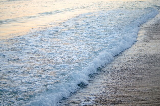 Fond de mer de l'été.