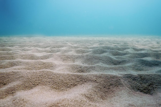 fond de mer de sable fond sous-marin