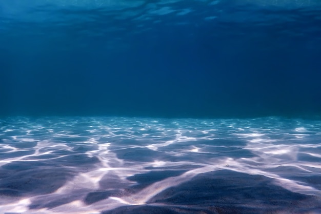 Fond de la mer de sable Vie marine, Fond sous-marin
