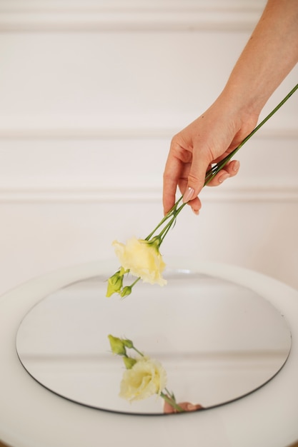 Fond de miroir créatif avec fleur