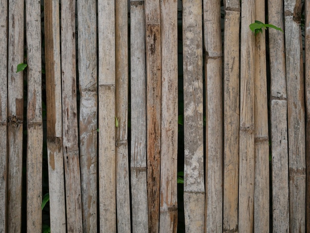 fond de mur en bois de bambou