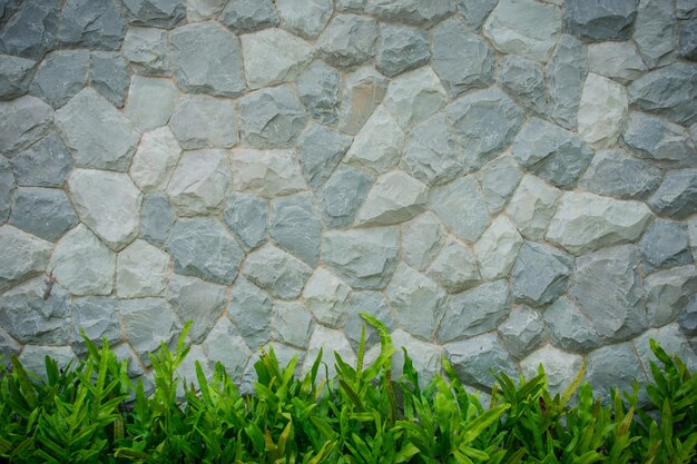 Fond de mur de briques blanches et feuille verte ci-dessous