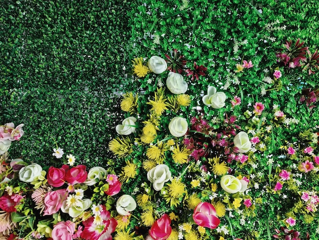 Fond de mur fleuri coloré plein cadre