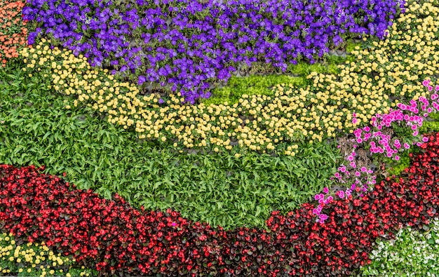 fond de mur de fleurs et de plantes
