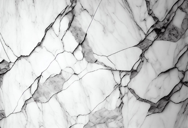 Un fond de mur en marbre blanc avec une texture en marbre noir et blanc.