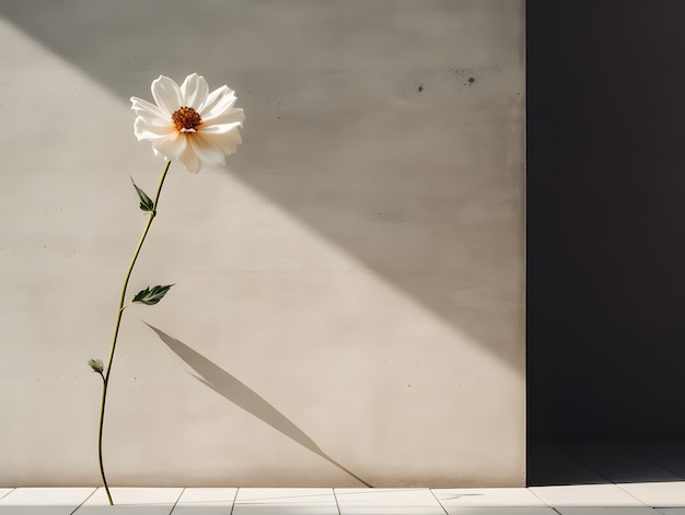 fond de mur plat avec des fleurs sur le côté